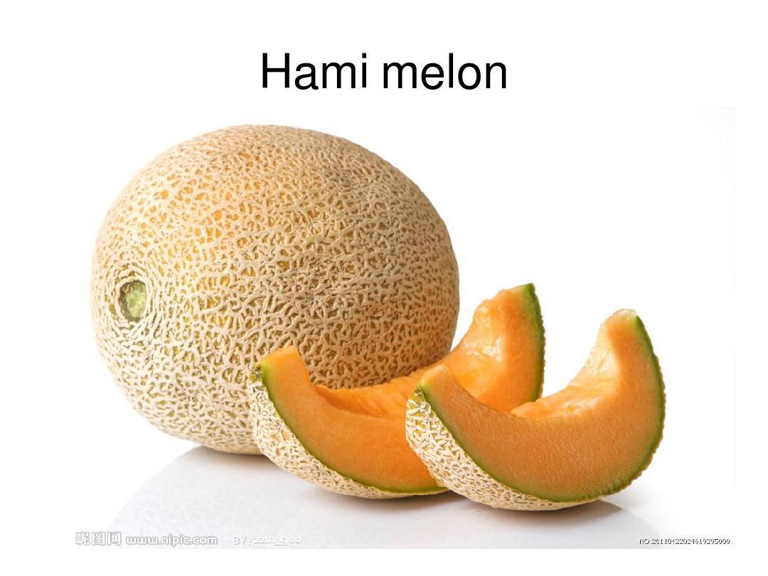 melon安卓下载(melon官方网站入口)