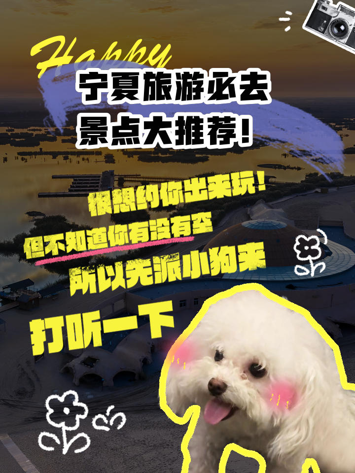 宁夏出行app下载-(宁夏出行app下载安装最新版)