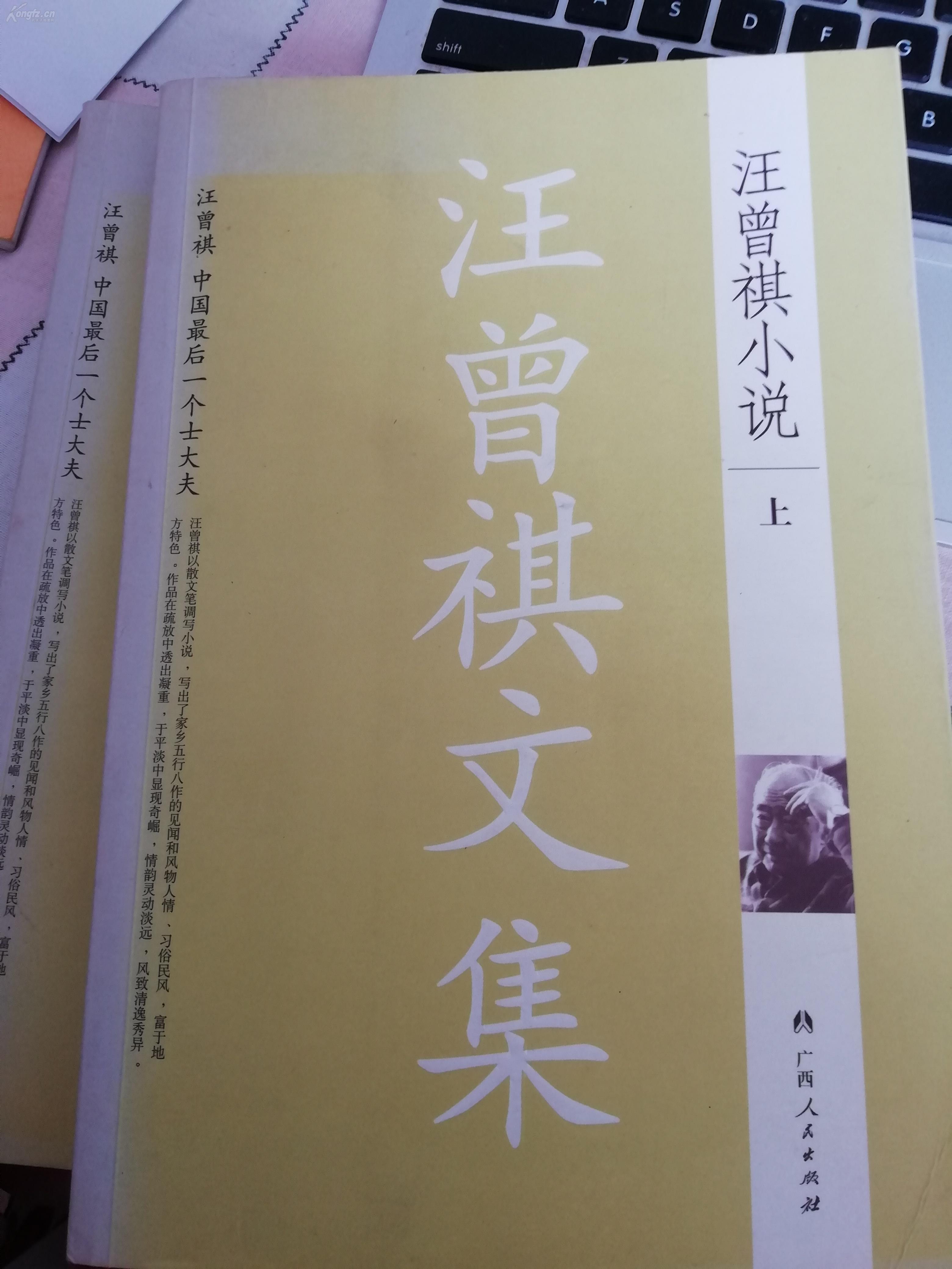 汪曾祺txt下载(汪曾祺小说集epub)