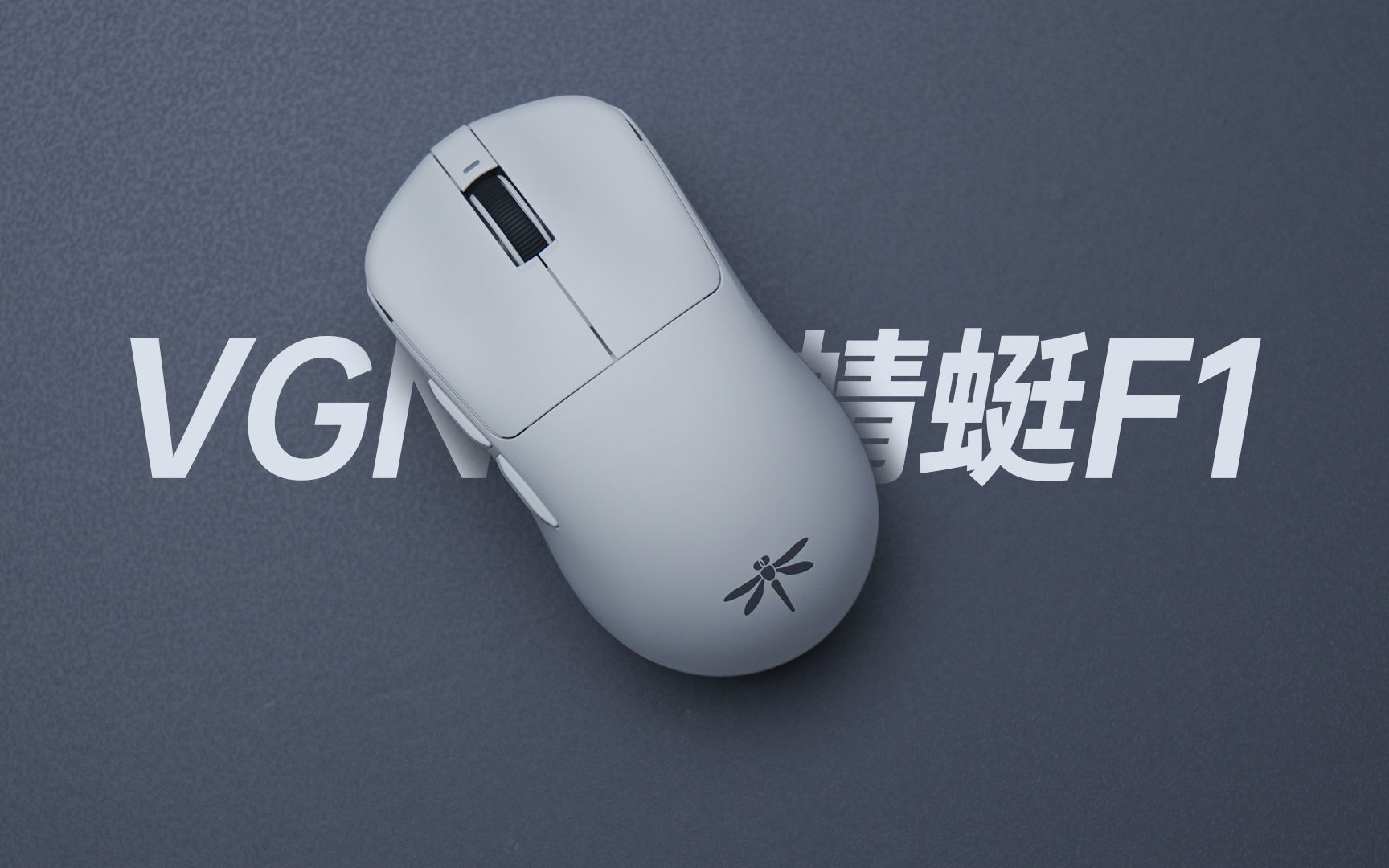 蜻蜓软件下载_(下载一个蜻蜓软件)