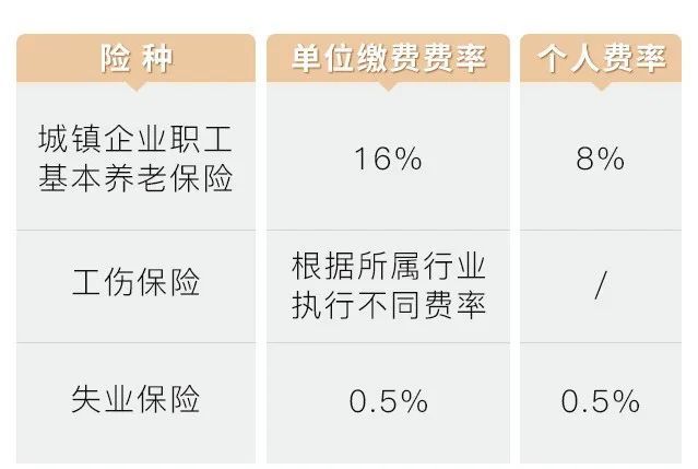 重庆社保app官网下载-(重庆社保app官网下载2024年新规一次缴费)